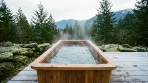 Electric vs. Wood Heat for a Cold Plunge You Use Every Day