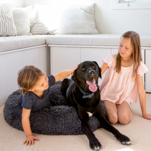 Which Veterinarian-Recommended Dog Beds Help Your Dog Sleep Better? 