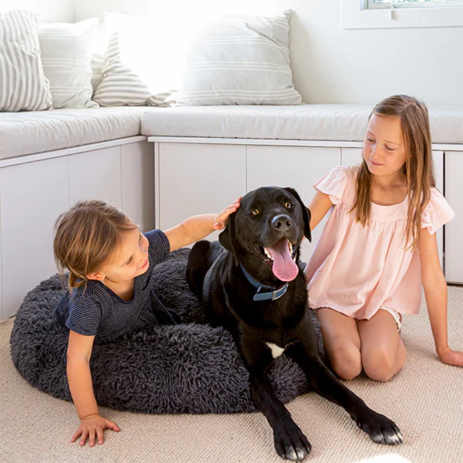 Which Veterinarian-Recommended Dog Beds Help Your Dog Sleep Better? 