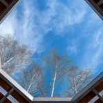 Why Smart Roof Window Design Is Shaping Healthier Living Spaces