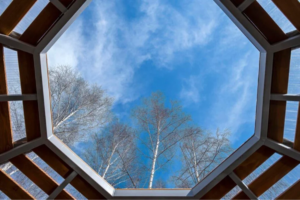 Why Smart Roof Window Design Is Shaping Healthier Living Spaces