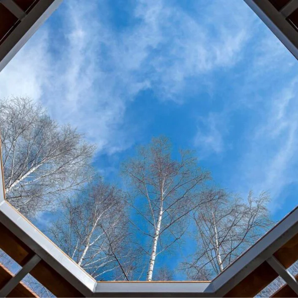Why Smart Roof Window Design Is Shaping Healthier Living Spaces